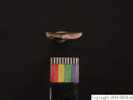 L_V23d1732 J1q588.2 Ux06 dM la f175
